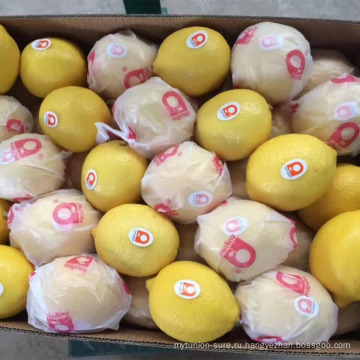 Свежие цитрусовые плоды, свежие лимоны, свежие пуп и Валенсия апельсины из Китая